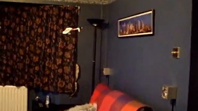 Pico-Z смотреть онлайн