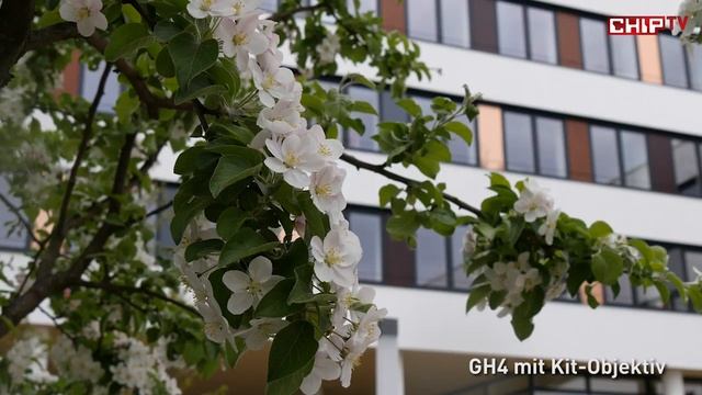 Panasoic Lumix GH4 vs. Sony FDR-AX100E - Vergleichstest deutsch | CHIP смотреть онлайн