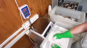 ?Вяленая Корюшка в ШВС Москит