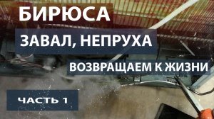 Ремонт холодильника Бирюса. Холодильнику не повезло.