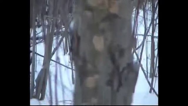 Мороз и солнце.Зима холодная в лесу. смотреть онлайн