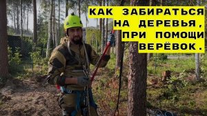 Как забираться на деревья, при помощи верёвок.