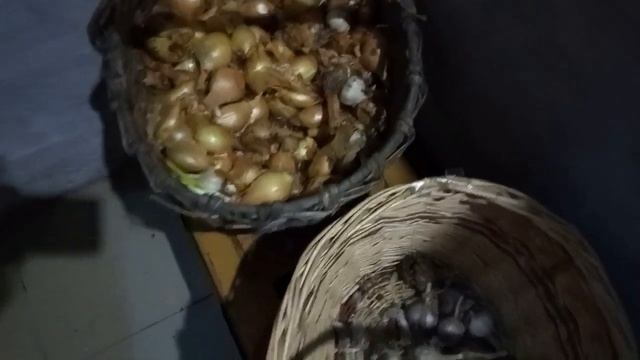 Как сохранить озимый чеснок до лета. А я это делаю с легкостью. смотреть онлайн