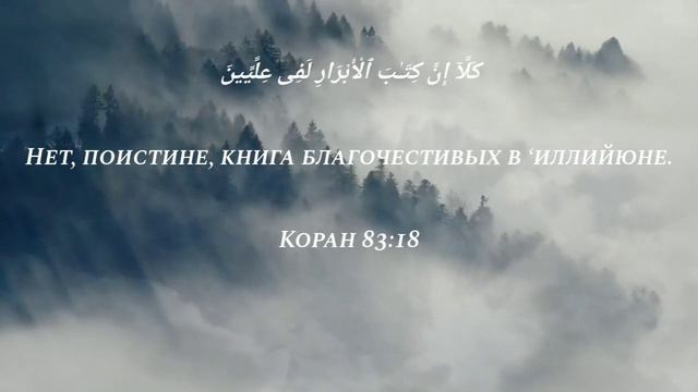 Идрис Абкар сура 83 «Обвешивающие» смотреть онлайн