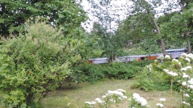 КАЛИНИНГРАД: Ботанический сад. Электрички и виноградная аллея - 13 июня 2022, ПН смотреть онлайн