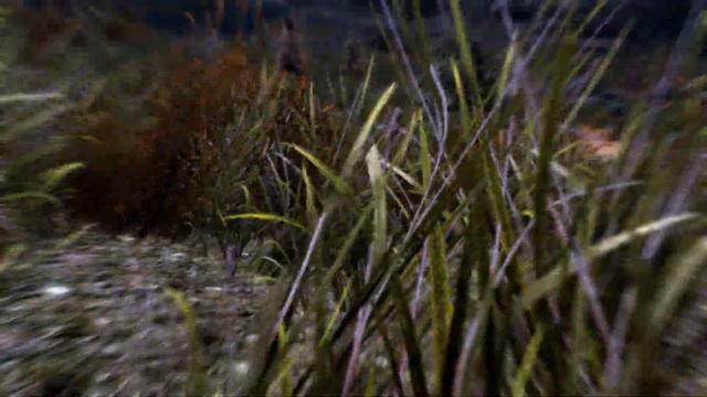 Pantyhose Princess 40 - Skyrim Ryona смотреть онлайн