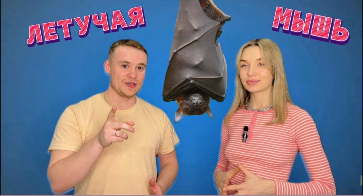 Животный мир. Летучие мыши.
