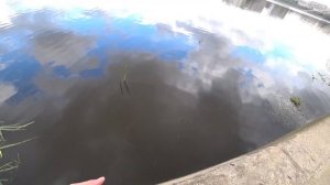 Спиннинг Москва р. Братеево.