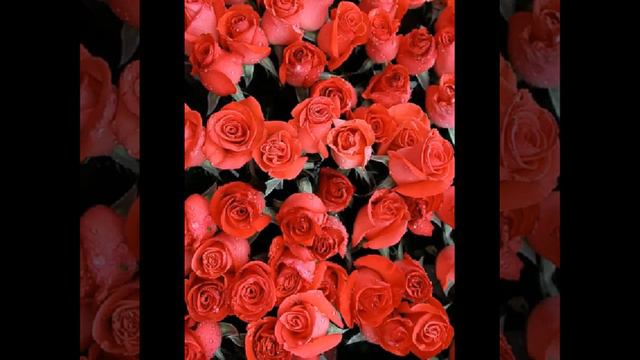 Олег Пахомов - девочка моя смотреть онлайн