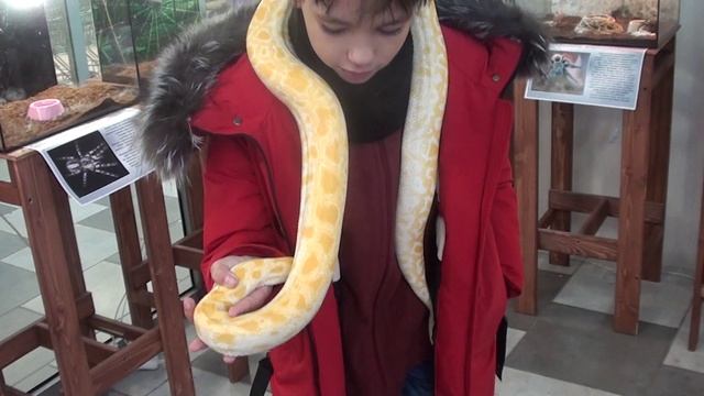 Настюша и песчанный питон смотреть онлайн