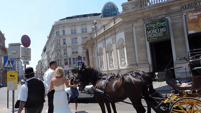 Austria, Wien - свадьба смотреть онлайн