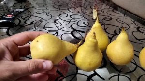 28 авг-13 сент 2022. Дегустация летних сортов груш и яблонь. Кудесница, Августовская роса, Конфетно