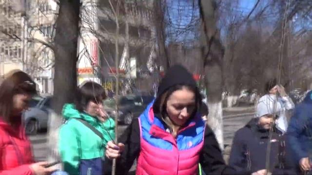 Аллея дзюдоистов спортсмены и их родители сажают молодые липы смотреть онлайн