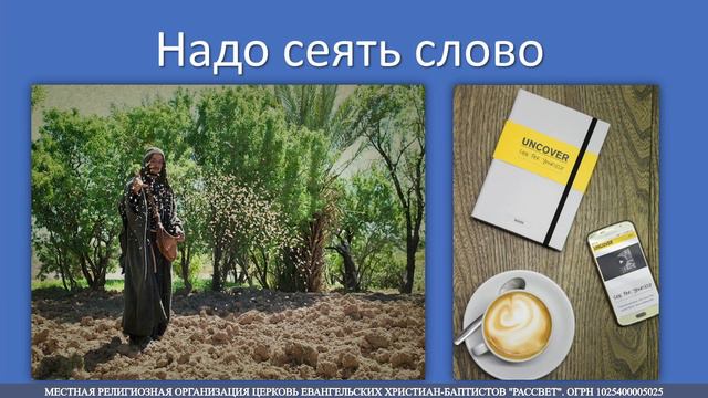 Кливер Колин, Семя растёт пока мы спим смотреть онлайн