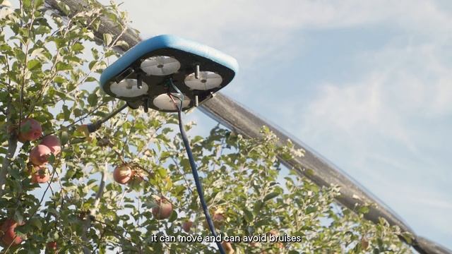 Tevel's Fruit-Picking Flying Autonomous Robots | Marco Rivoira Client Testimonial смотреть онлайн
