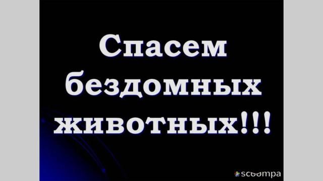 "Мир вокруг нас " смотреть онлайн