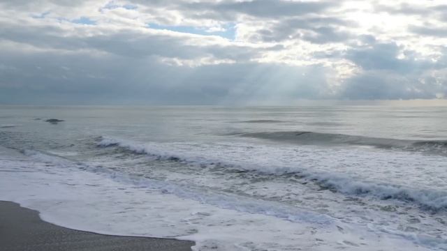Пока мы отсутствовали, золовка прорубила дверь в стене и объединила нашу и свою квартиры.