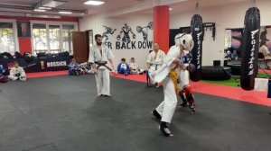 Спарринги Кудо.