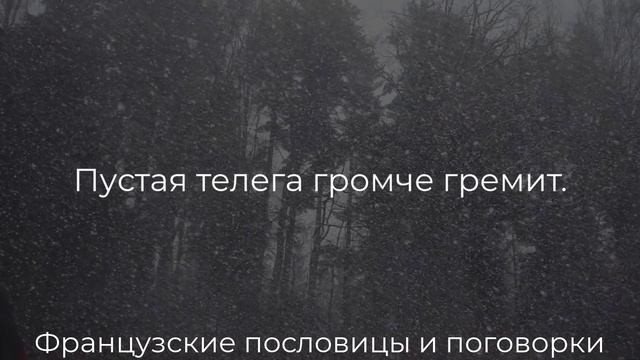 Мудрые Французские Пословицы и Поговорки, Которые Поражают Глубиной мудрости! Пословицы,поговорки смотреть онлайн
