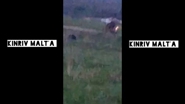 купил мопед malta | первое видео с мопедом смотреть онлайн