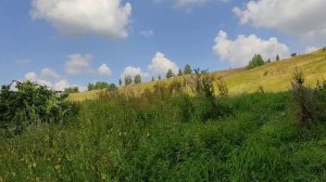 Закличка Солнышка