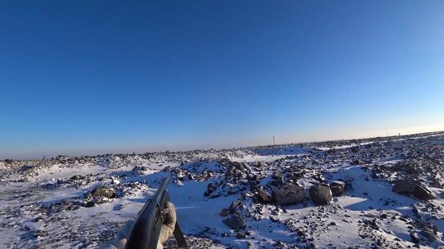 Охота на зайца. И так бывает!!! смотреть онлайн