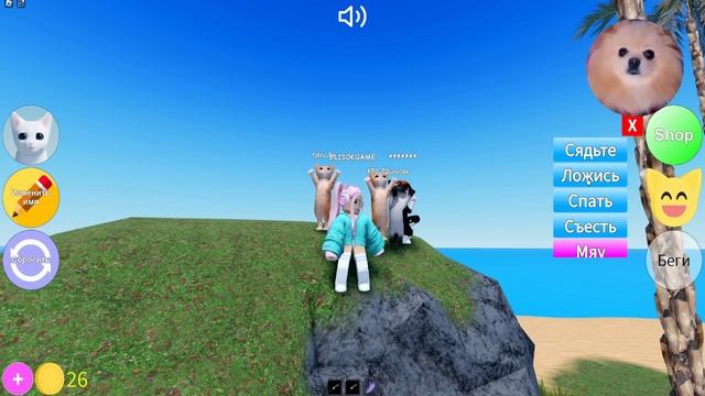 У МЕНЯ ПОЯВИЛСЯ КОТИК В РОБЛОКС ! НОВАЯ ИГРА С КОТИКАМИ ! ВЕЧЕРИНКА КОТИКОВ В ROBLOX смотреть онлайн