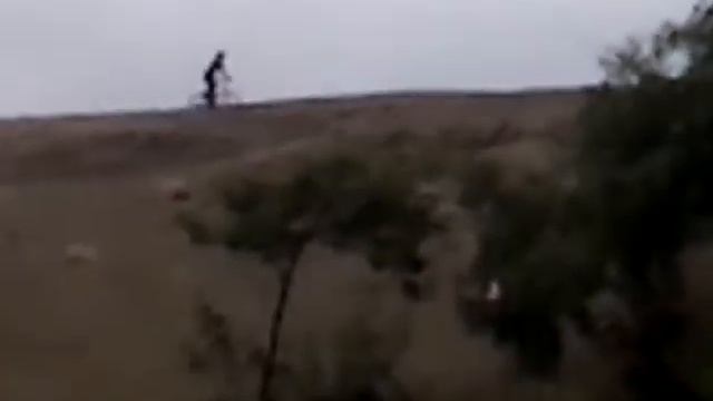 Maltrato a huaca de orp en pro смотреть онлайн