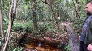 Орангутанги. Индонезия. Часть 1.