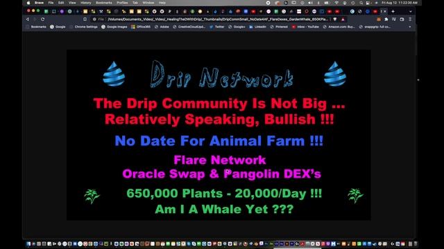 The Drip Community Is Small & Bullish! - Flare Network & Oracle Swap & Pangolin - Drip Garden Whale смотреть онлайн