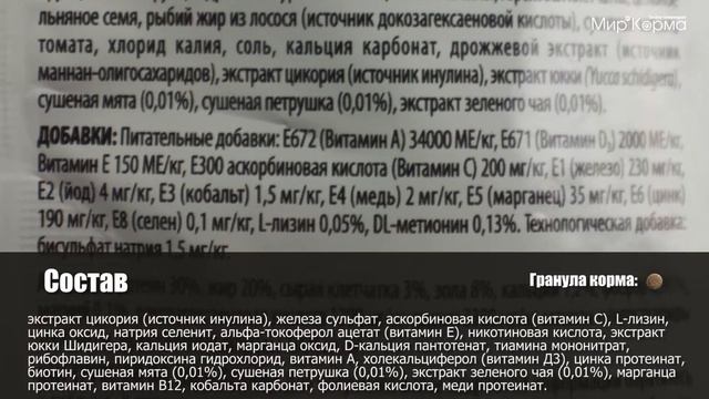 Обзор корма 1st Choice Kitten Chaton Healthy Start смотреть онлайн