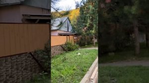 Переселенческая Эсто садок