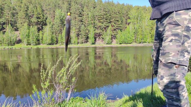 Снова Шилово, 2024, рыбалка.