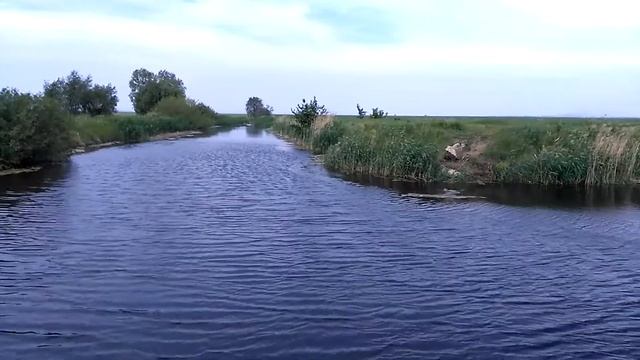 Северный массив дач за ПТО смотреть онлайн