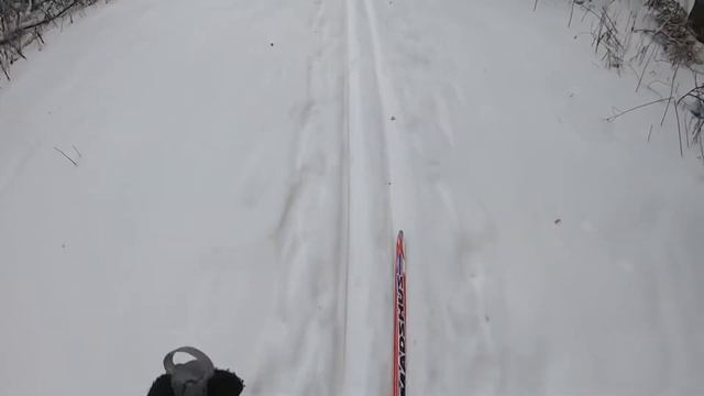 Тренировка перед Новогодней лыжной Гонкой смотреть онлайн