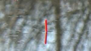 Ловля на ХИТРУЮ уловистую снасть.