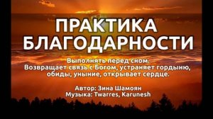 Практика благодарности (перед сном). Зина Шамоян.