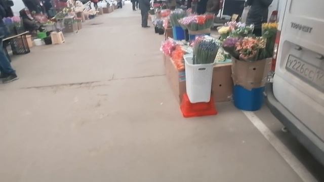 Цветы к 8 марта цветочный рынок Краснодар 6 03 22 г смотреть онлайн