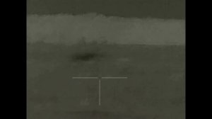 Сравнение тепловизионных прицелов iRay Rico RL42 /iRay Rico RL50.       7 лис на вечерней прогулке.