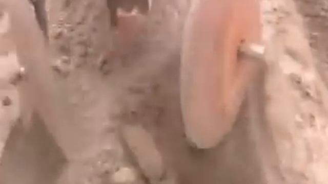 Самодельный окучник - он же культиватор. смотреть онлайн