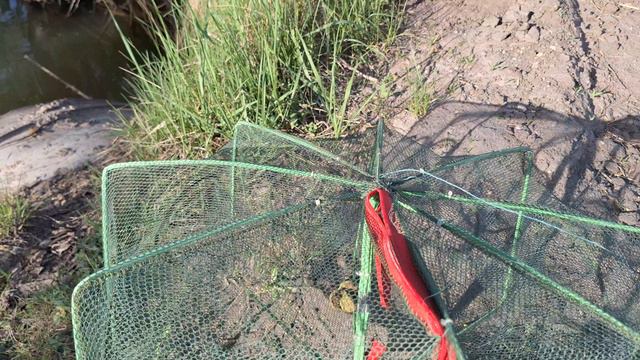 Раколовка или ловушка на рыбалке смотреть онлайн