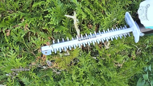 PARKSIDE Taille-haie 12v X12VTEAM PHSA 12 A1 Cordless Hedge Trimmer Akku-Heckenschere смотреть онлайн