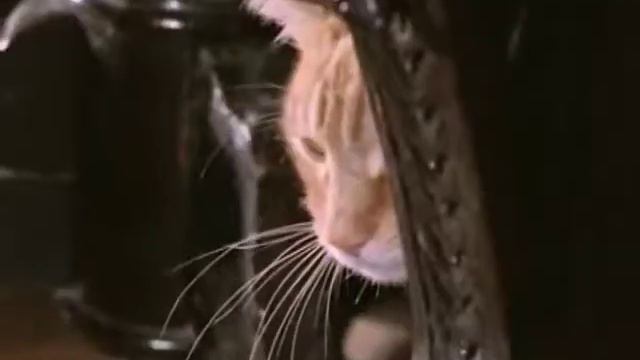 Алла Пугачева Рисуйте, рисуйте Draw смотреть онлайн