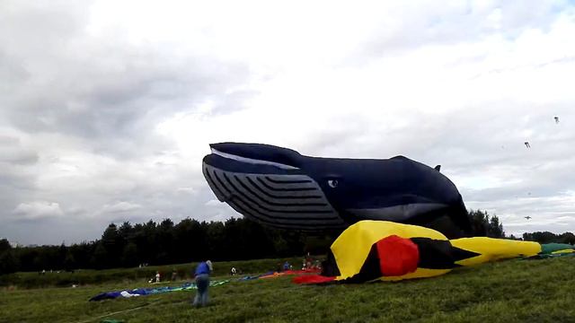 Танцы ветра - MosKiteFest 2017 смотреть онлайн