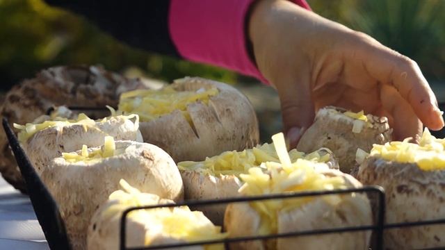 Фотография Приключений и Экстремальных Спортов