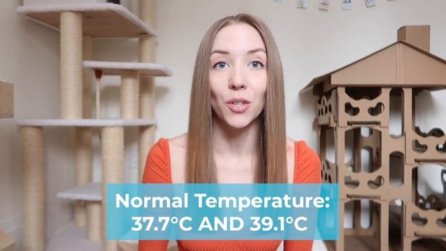TOP 10 SIGNS YOUR CAT IS IN LABOR (including pre-labor symptoms) + Sneak Peak of Nala's Kittens смотреть онлайн