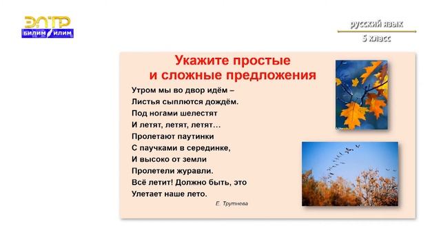 5-класс | Русский язык | Cложное предложение смотреть онлайн