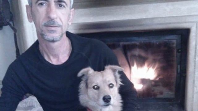 Этот пёс пришел на похороны своего хозяина, чтобы попрощаться с ним... смотреть онлайн