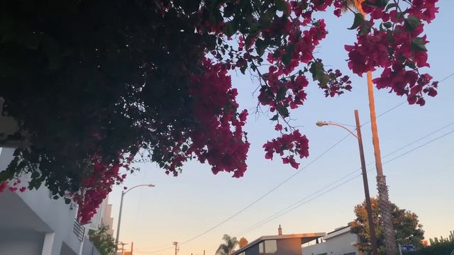 iPhone XS Camera Test - 4K 60fps Cinematic Video смотреть онлайн