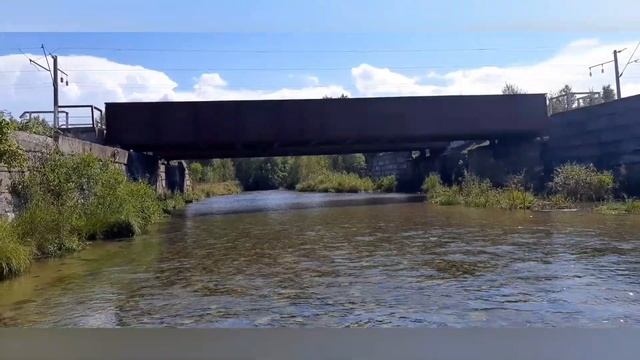 Кулинарный Форум